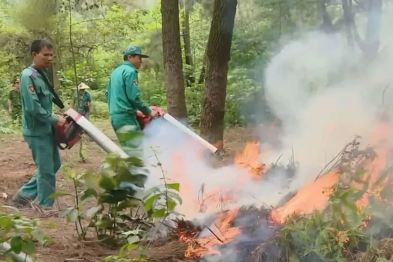 Forest fire risk rises ahead of widespread heatwave